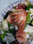 IMG_0881s.jpg