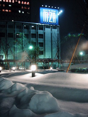 IMG_2521b.jpg