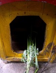 IMG_7751b.jpg