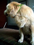 IMG_7753b.jpg