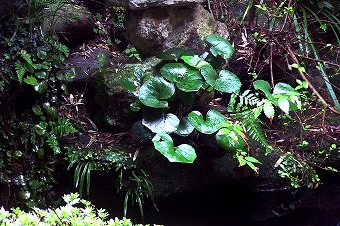 s-11h19m08s143.jpg