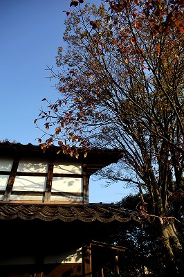 s-DSC00089a.jpg