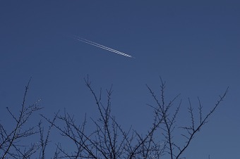 s-DSC00815a.jpg
