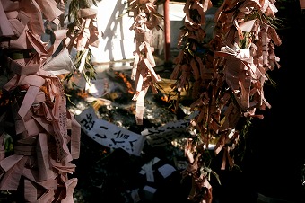 s-DSC01136a.jpg