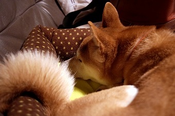s-DSC01280a.jpg