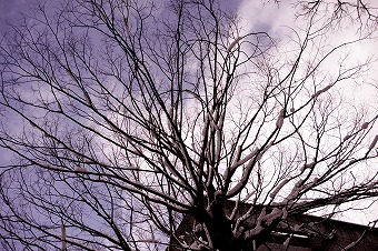 s-DSC01293a.jpg