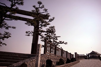 s-DSC01545a.jpg