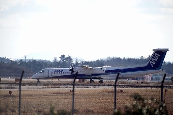s-DSC01853a.jpg