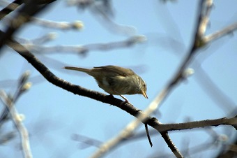 s-DSC02002a.jpg
