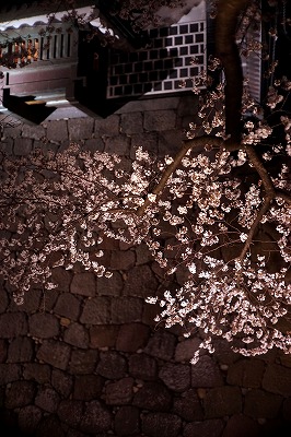 s-DSC02102a.jpg