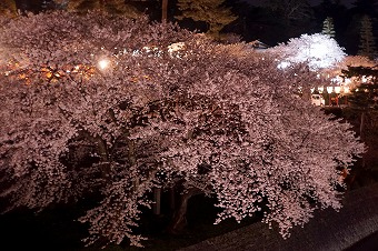 s-DSC02115a.jpg