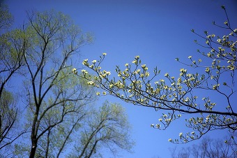 s-DSC02272b.jpg