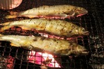 s-IMG_0381s.jpg