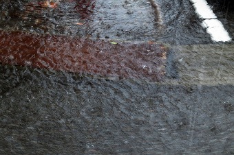s-IMG_0508s.jpg