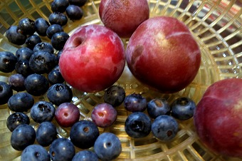 s-IMG_0588s.jpg