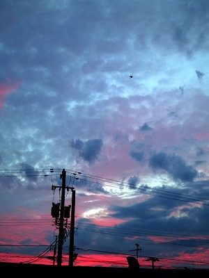 s-IMG_0600s.jpg