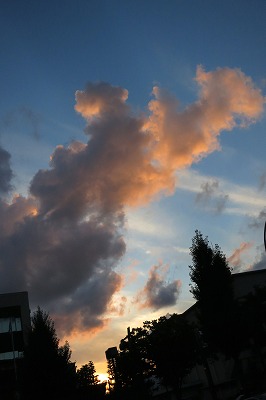 s-IMG_0634s.jpg
