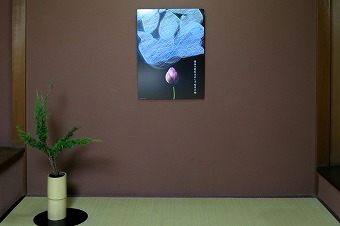 s-IMG_0679s.jpg