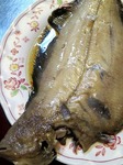 s-IMG_0682s.jpg