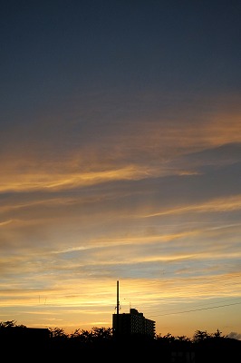 s-IMG_0690p.jpg