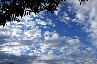 s-IMG_0728s.jpg