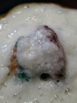 s-IMG_0782s.jpg