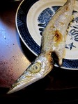 s-IMG_0971p.jpg