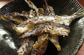 s-IMG_1000s.jpg