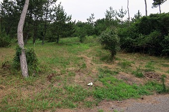 s-IMG_1018s.jpg