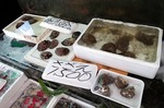 s-IMG_1088s.jpg