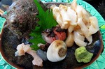 s-IMG_1196s.jpg