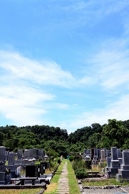 s-IMG_1205m.jpg