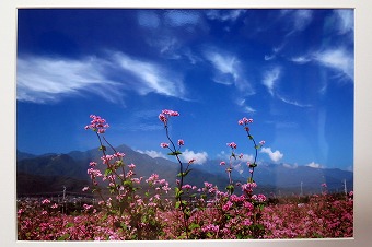 s-IMG_1222s.jpg