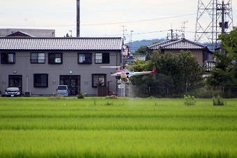 s-IMG_1229m.jpg