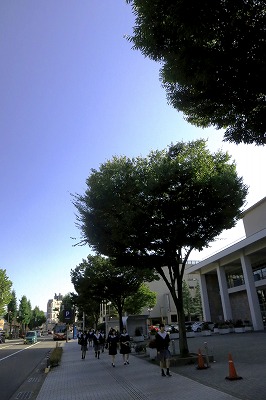s-IMG_1239s.jpg