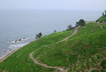 s-IMG_1306s.jpg