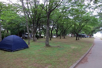 s-IMG_1319s.jpg