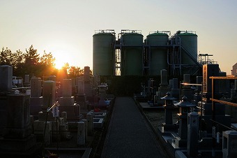 s-IMG_1479s.jpg