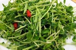 s-IMG_1532s.jpg