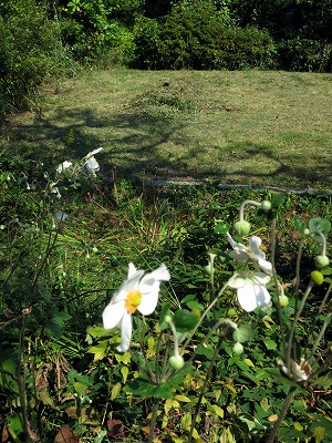 s-IMG_1572s.jpg
