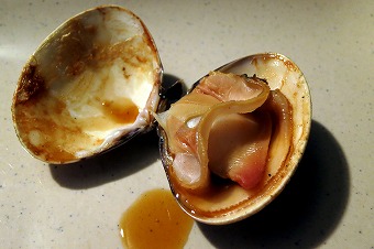 s-IMG_1683s.jpg