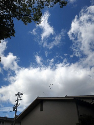 s-IMG_1770s.jpg