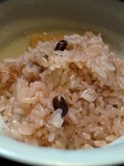 s-IMG_1785s.jpg