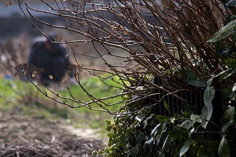s-IMG_1808m.jpg