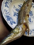 s-IMG_1826s.jpg