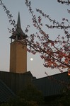 s-IMG_1886m.jpg