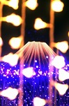 s-IMG_1935m.jpg