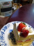 s-IMG_1938.jpg