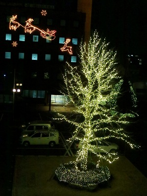 s-IMG_1952s.jpg