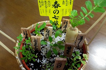 s-IMG_1996s.jpg